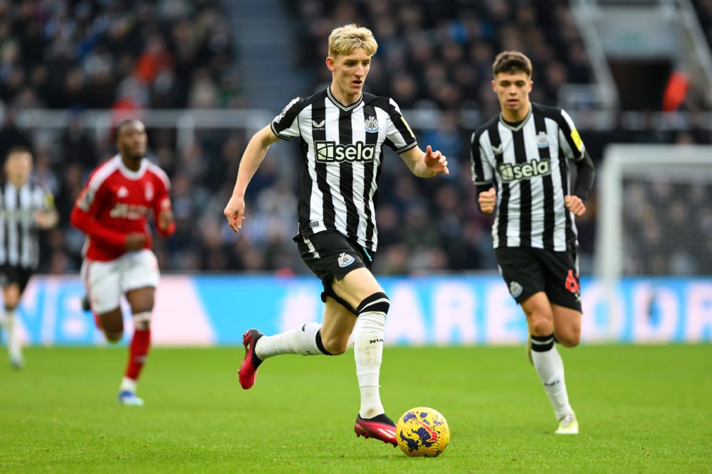 boigrupo - Registro Rápido Bet App